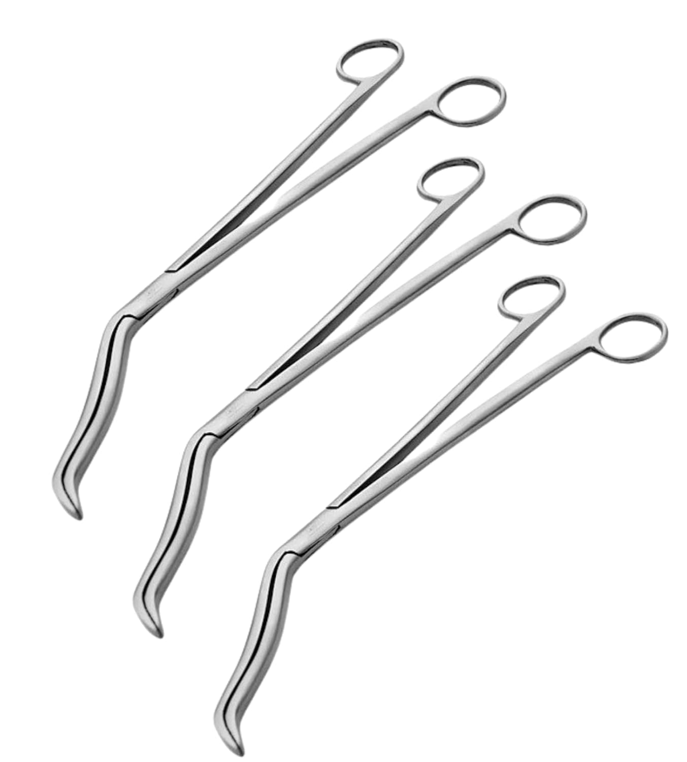 MEDIGUARD Stainless Steel Cheatle Forceps - Surgical Instrument for Medical Professionals 10" inches pack of 3